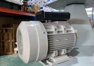 Explosion-proof Motor