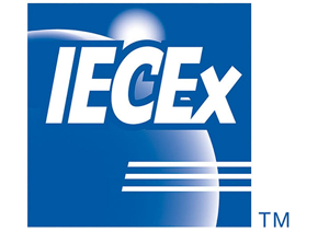 ex motor standard